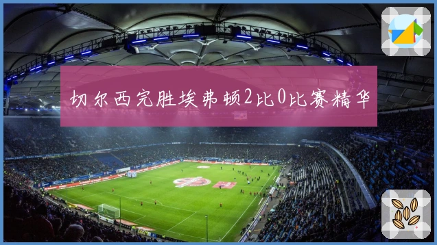 切尔西完胜埃弗顿2比0比赛精华