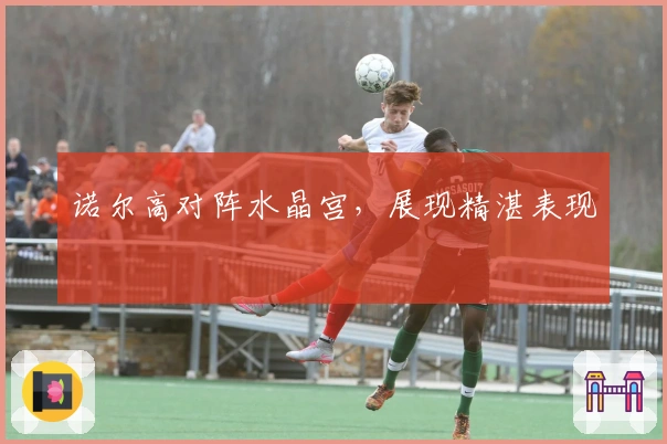 诺尔高对阵水晶宫，展现精湛表现